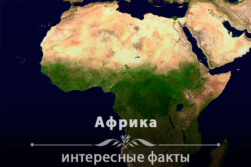 Интересные факты об Африке