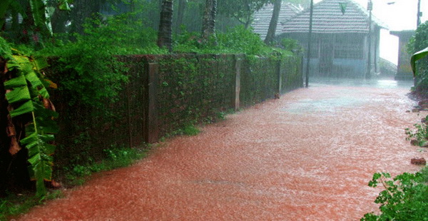 Красный или кровавый дождь